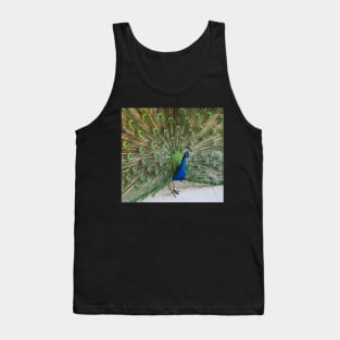 Peacock Tank Top